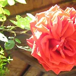 Il Casale Dell'ara Delle Rose