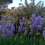 Bed & Breakfast Il Casale Dell'ara Delle Rose Roma