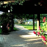 Il Casale Dell'ara Delle Rose Bed & Breakfast *