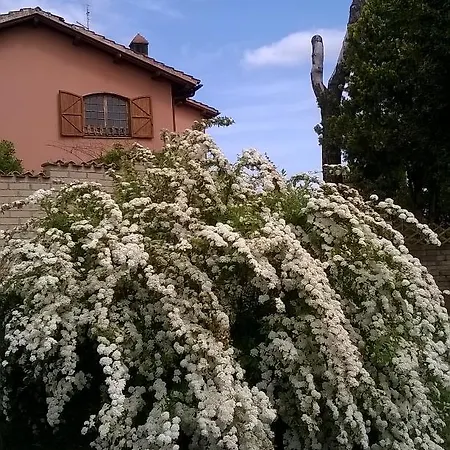 Il Casale Dell'ara Delle Rose לינה וארוחת בוקר רומא