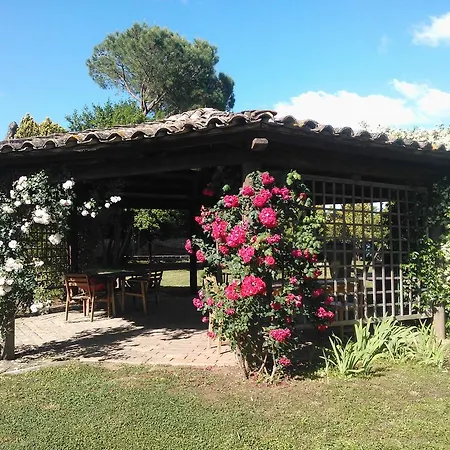 Frühstückspension Il Casale Dell'ara Delle Rose Rom
